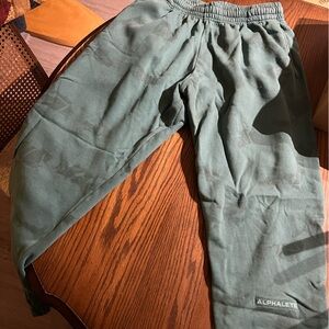 Alphalete Men’s size medium HCTS joggers
